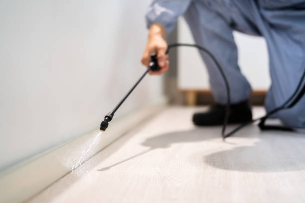 Licensed Mosquito Control service in Canton, TX - Show Me Pest Control