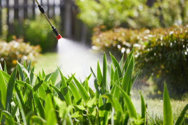 24/7 Emergency Mosquito Control experts in Canton, TX