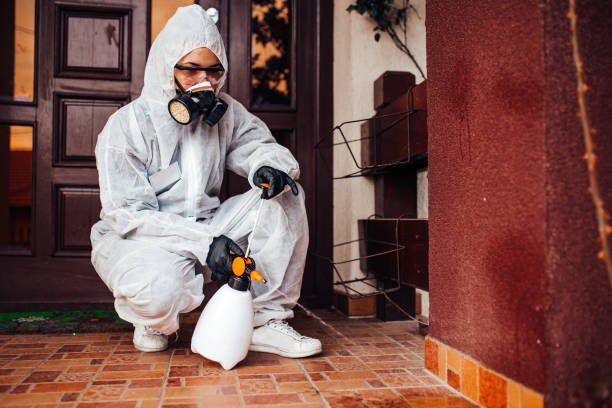 Reliable Mosquito Control contractor in Canton, TX by Show Me Pest Control